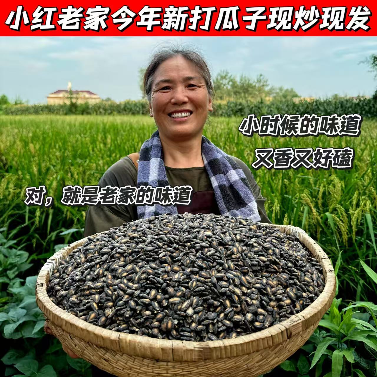 小红老家笨打瓜籽咸香口感农家小粒香今年新瓜子现炒500克