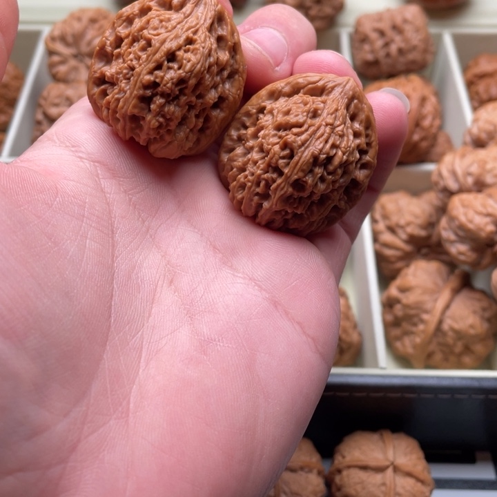 核桃手串/手链34.5cm三角南江