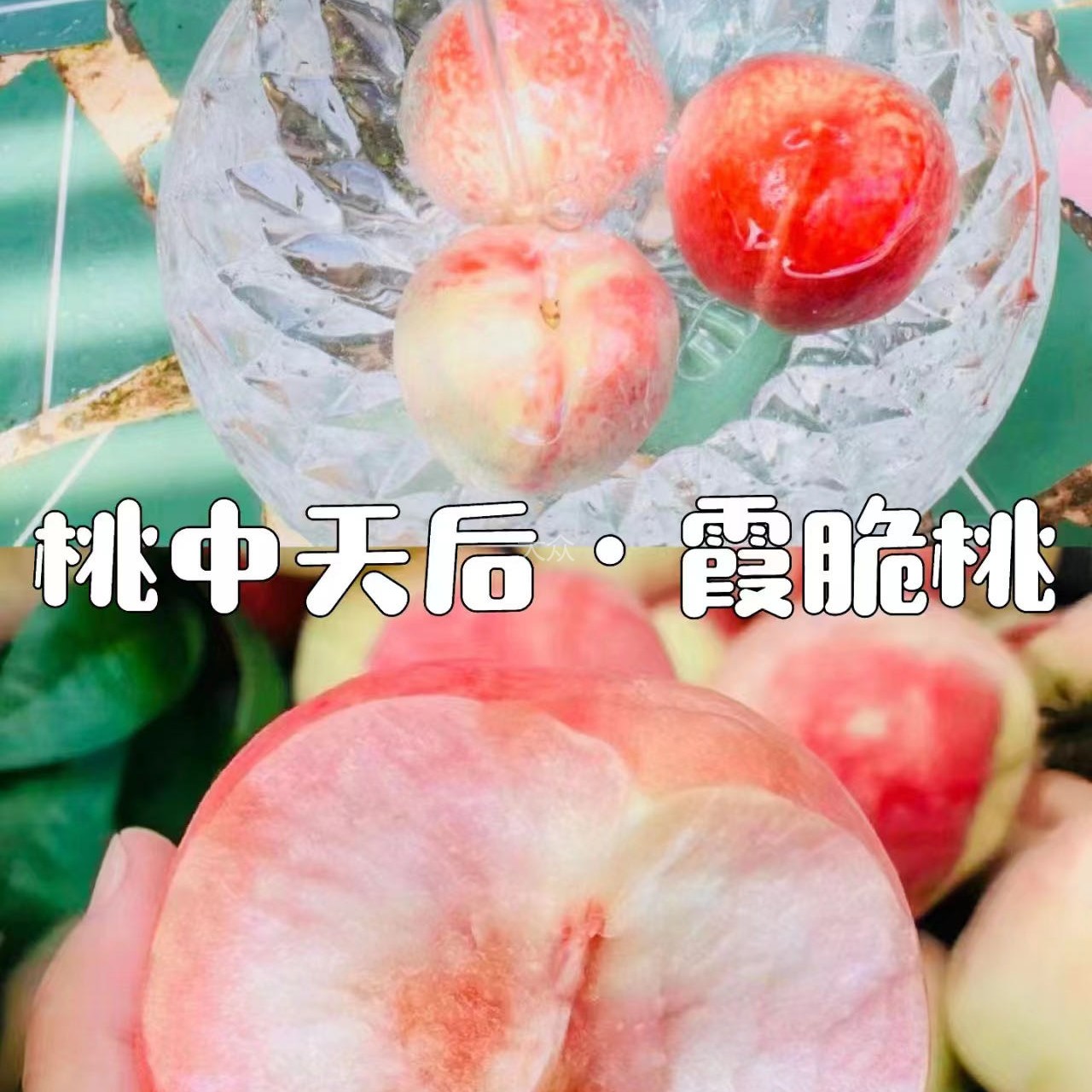 （京东包邮）农科院霞脆蜜桃3斤湖北省
