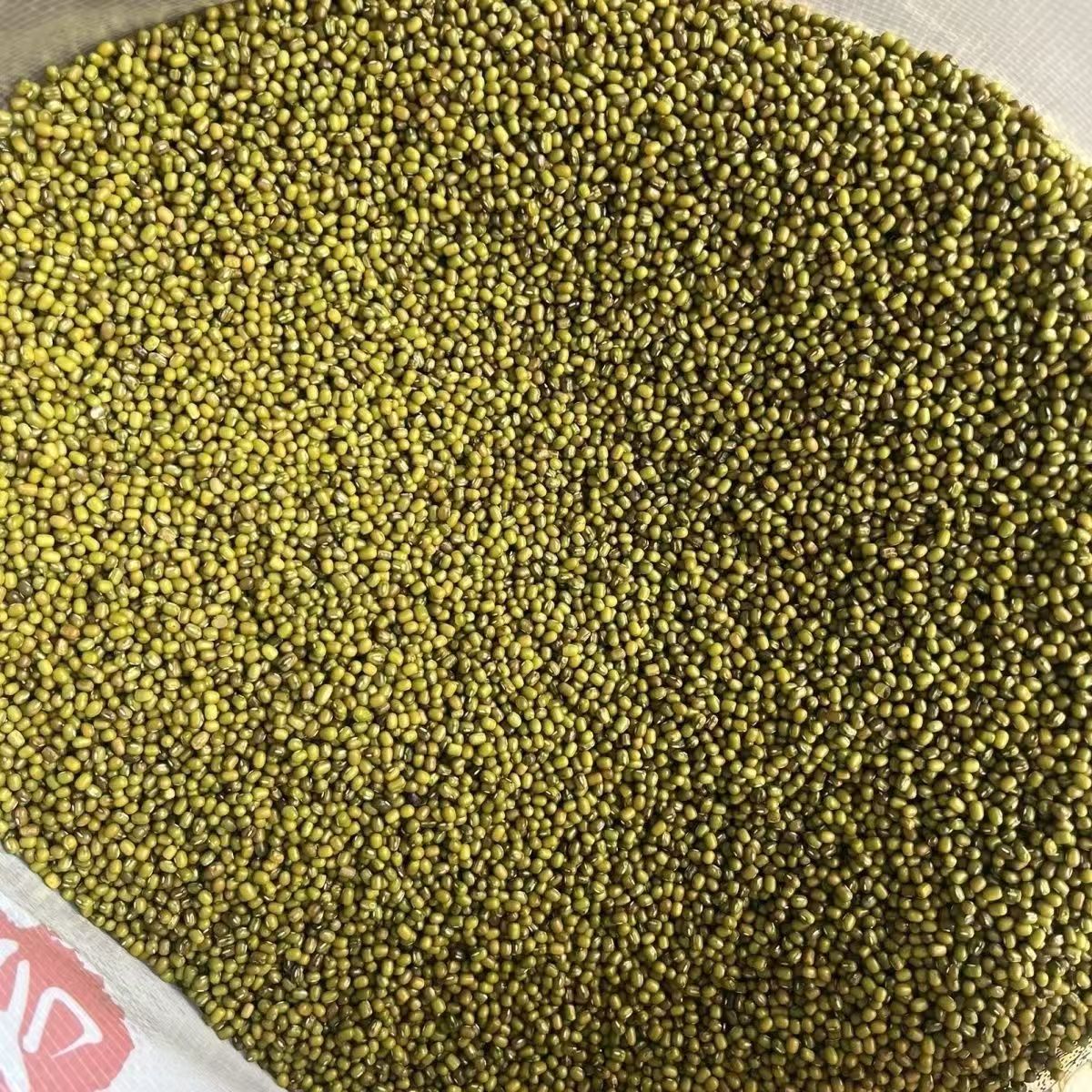 【到手2斤】农家新绿豆易煮出沙解暑熬粥小颗粒迷你颗粒小绿豆D商品图