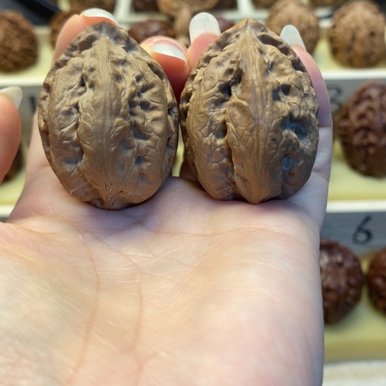 把件桃核金钱底楸子