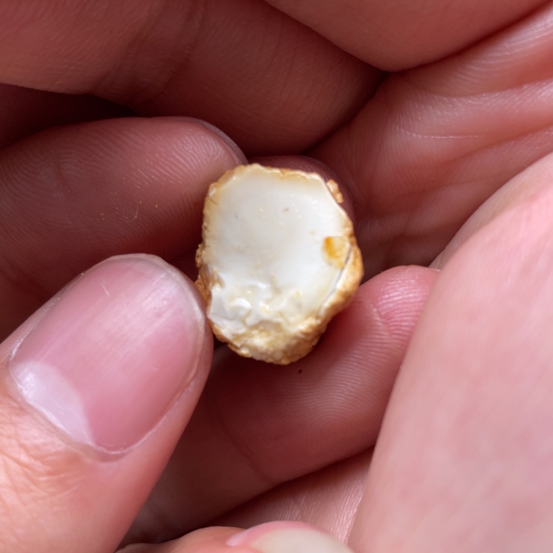 定制琥珀未镶嵌天然蜜蜡