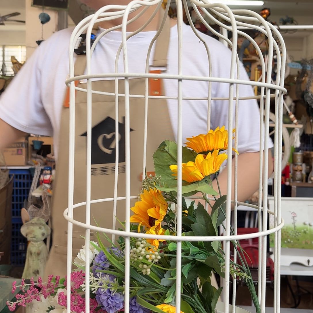 核桃木/黑胡桃（胡桃木）