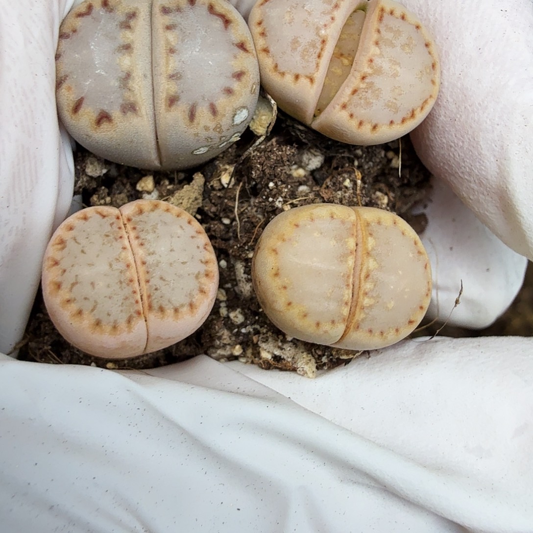 你不去你说不说吧是什么408