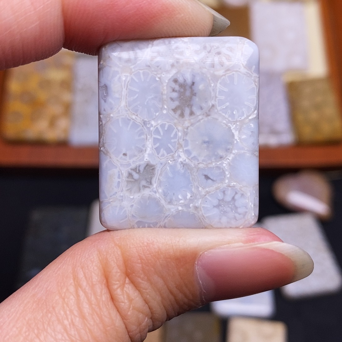 硅化玉珠宝奇石合金在****果