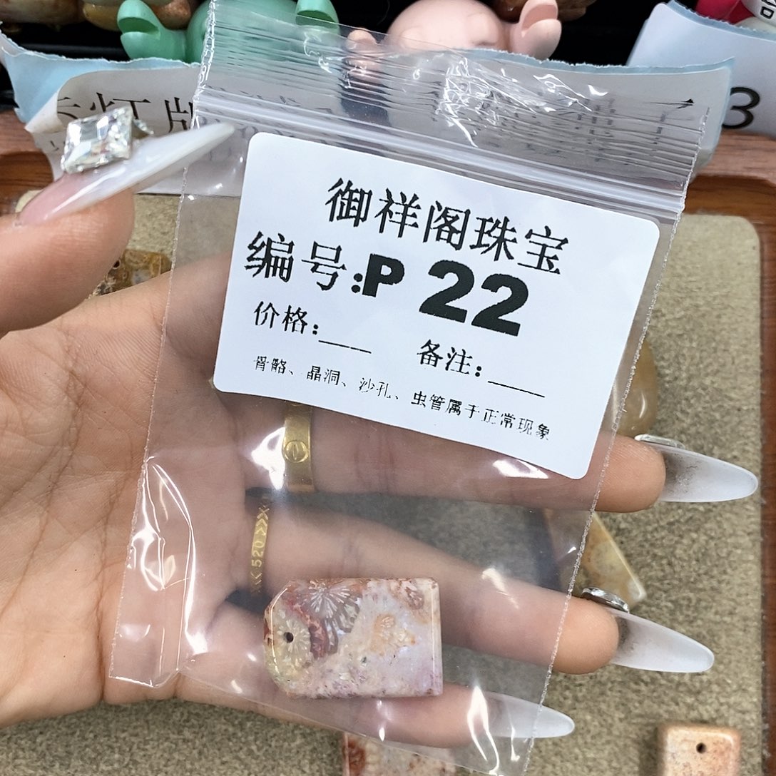 硅化珊瑚（珊瑚玉）z未镶嵌星****.