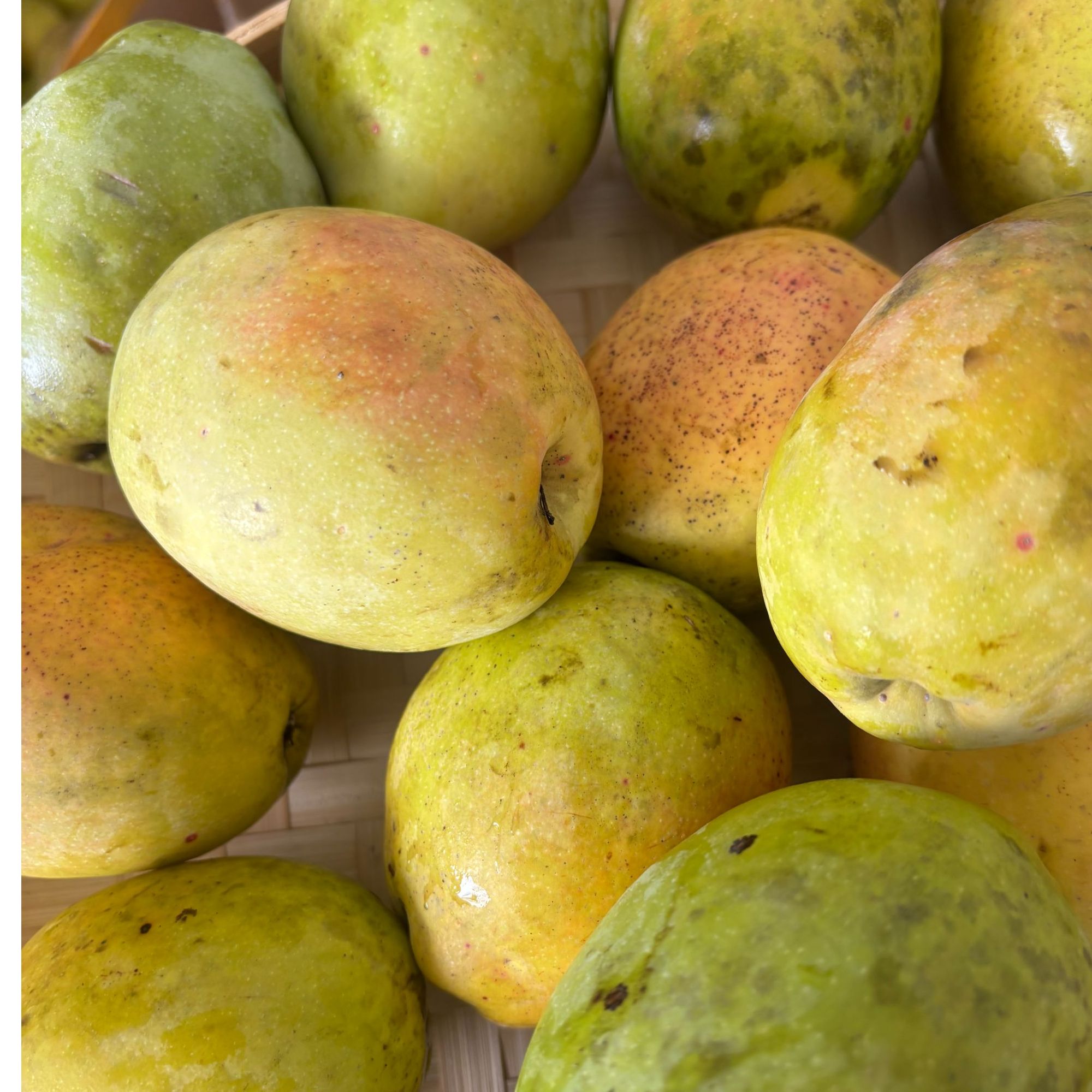 云南芒市老品种酸木瓜新鲜采摘孕妇馋嘴酸味水果