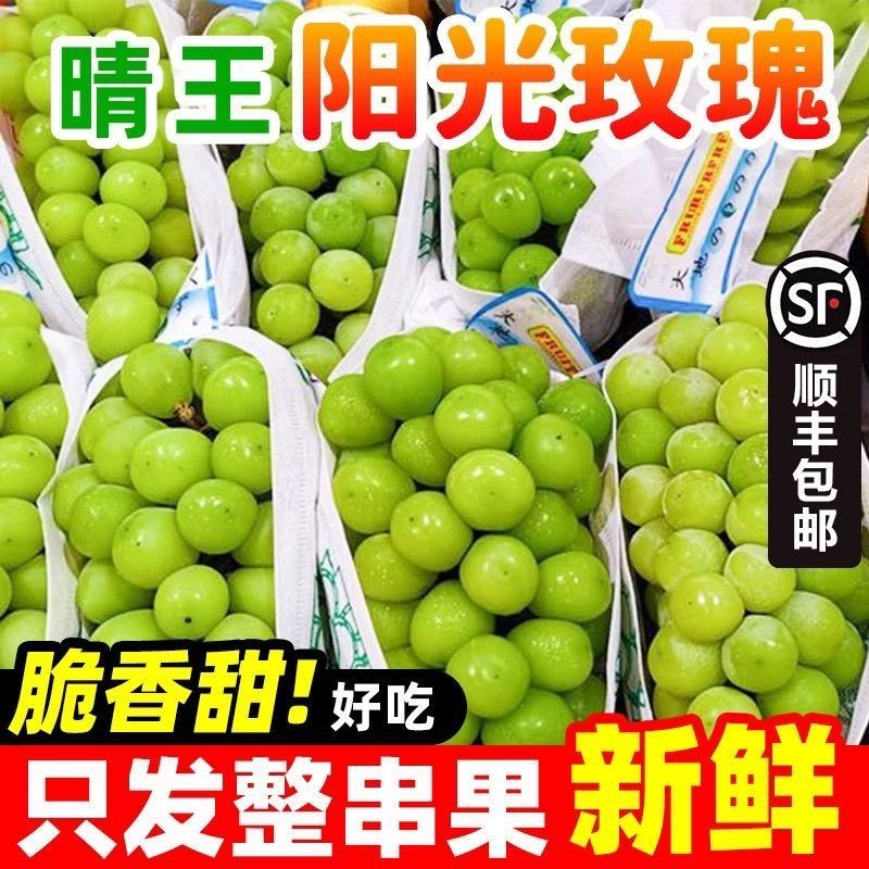 【顺丰包邮】正宗阳光玫瑰葡萄新鲜饱满现摘现发应季鲜甜多汁水果A