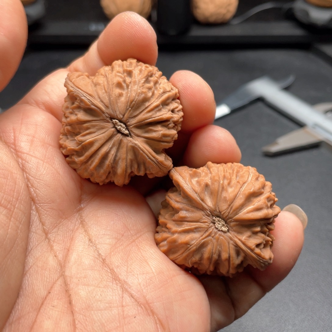 文玩核桃把件一****鱼磨盘