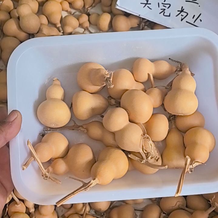 小美葫芦16个尾货处理，默认微瑕。