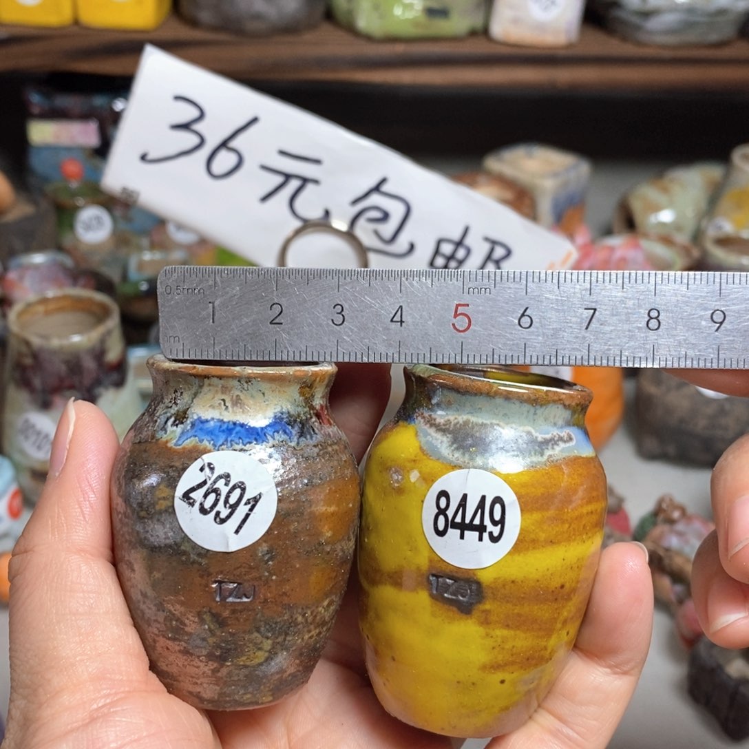 j**c拍5送一个小礼物