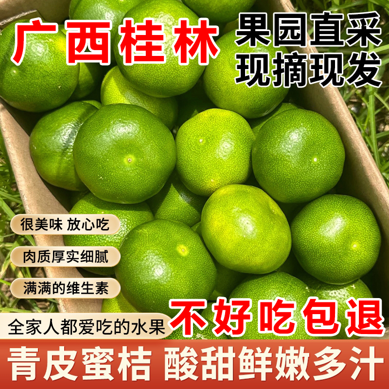 早柑无籽水果新鲜产地应季现摘酸甜柑子整箱果子广西青皮橘子包邮