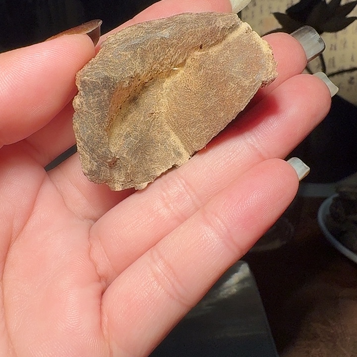 沉香沉香碎屑海南壳子熏香料2克