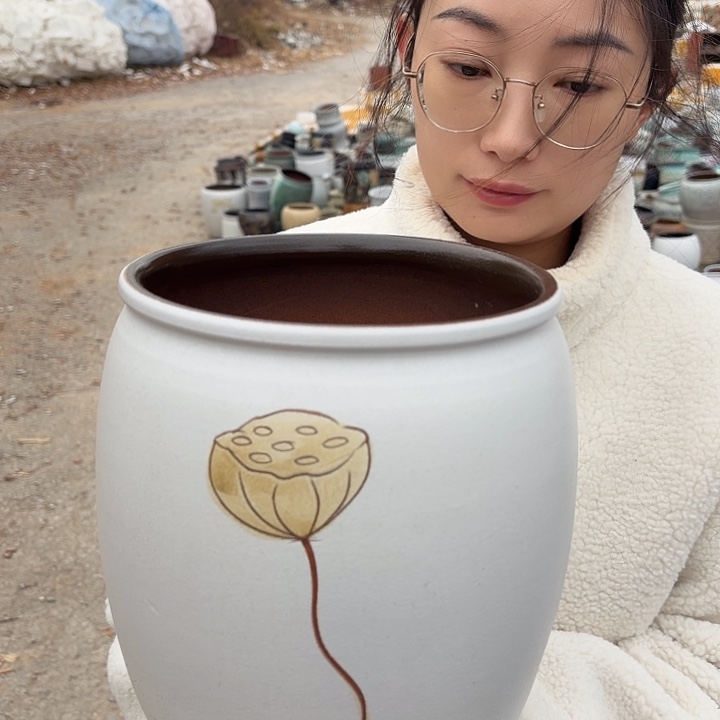 口19高25一个大花盆