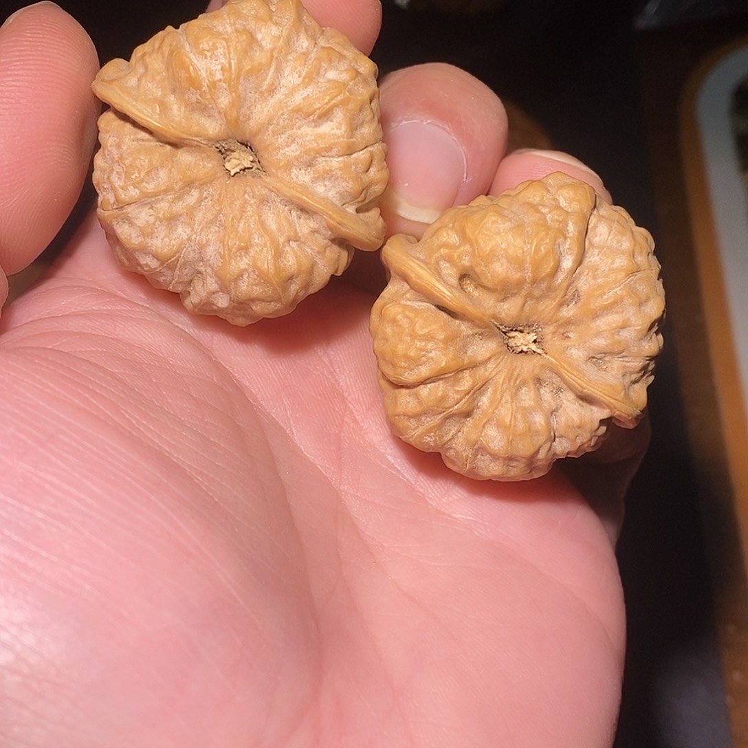 老***辉文玩核桃吊坠老辉90
