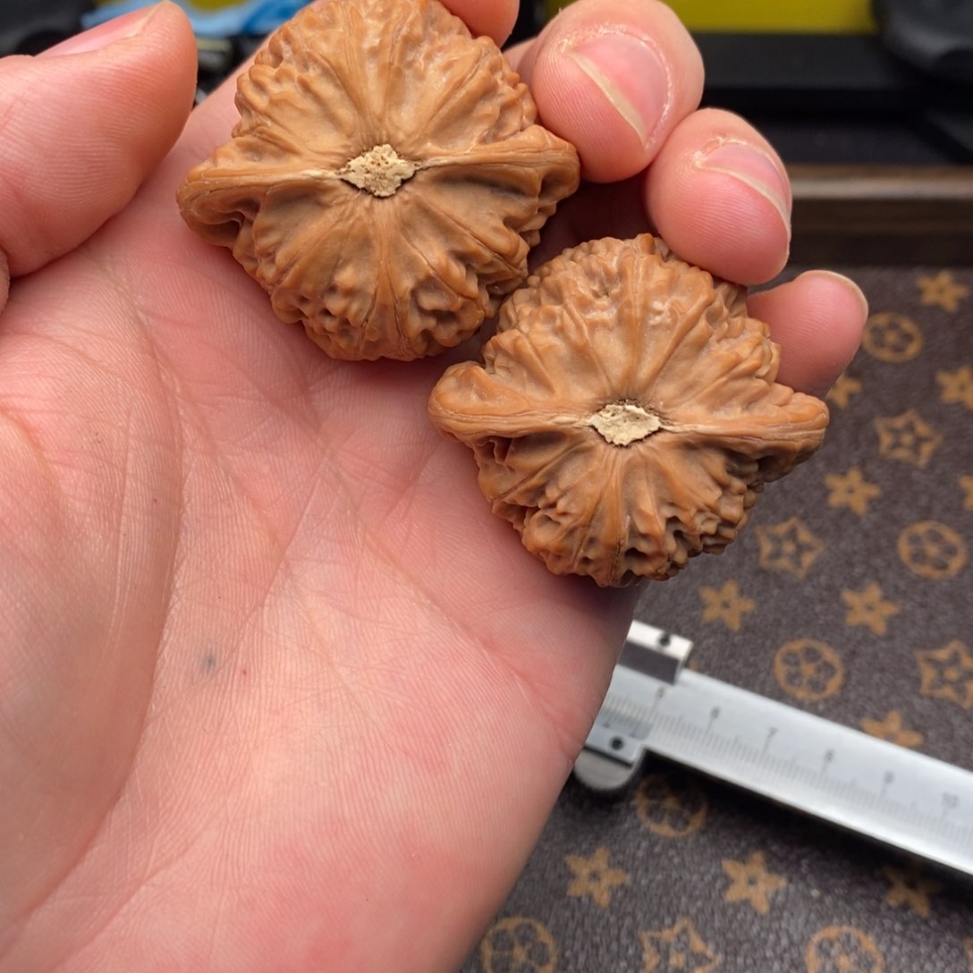 44全品货头宫灯狮子头