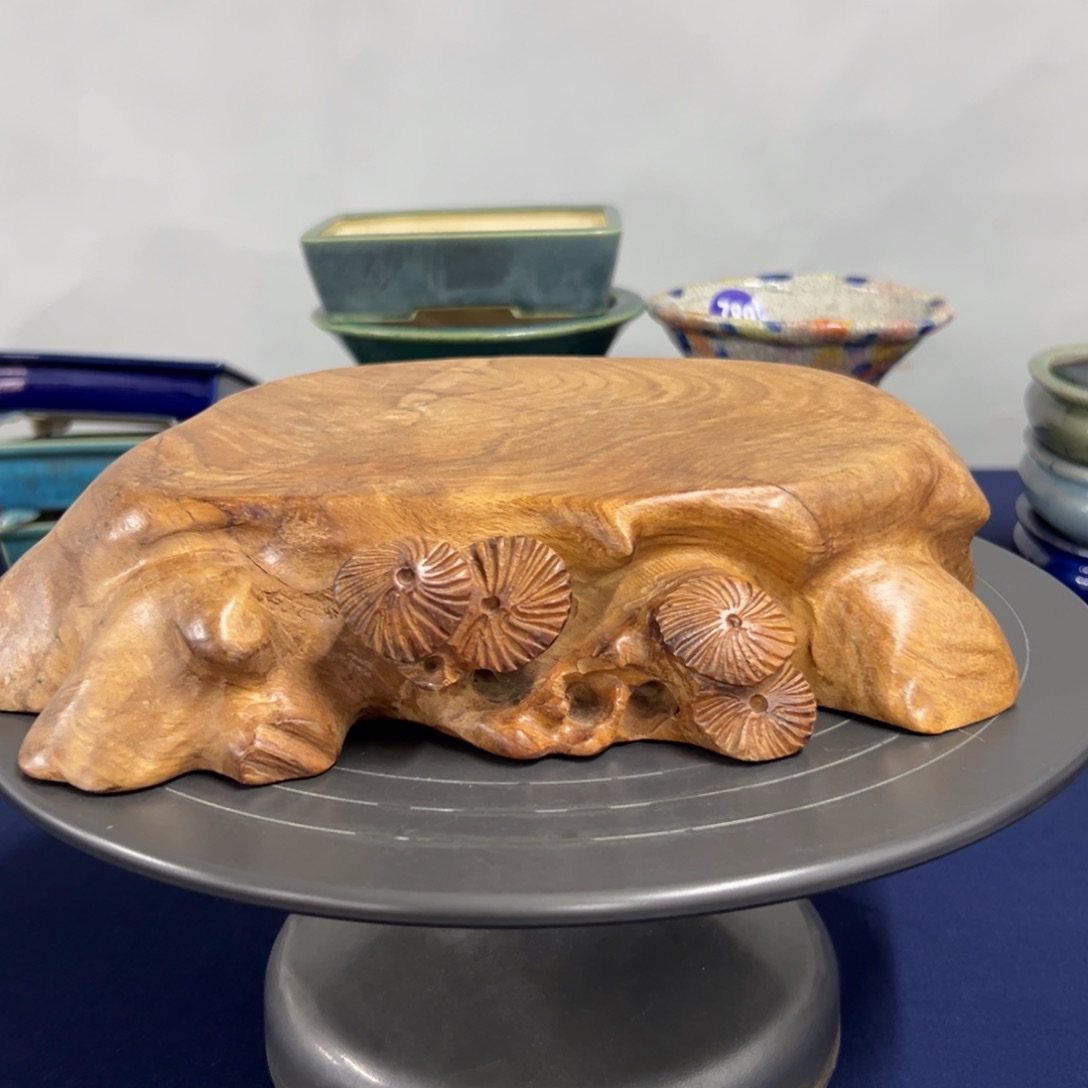 红陶红红火火过大年