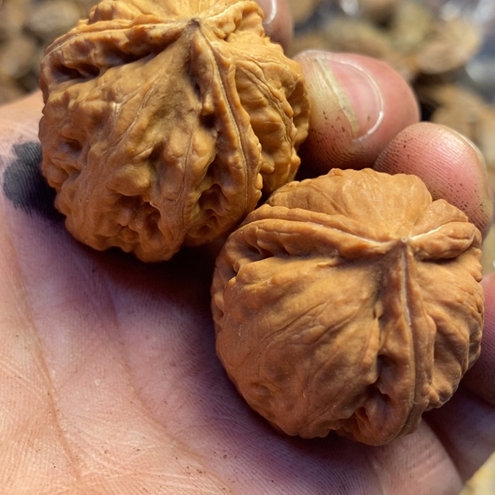 吊坠文玩核桃东北特产263