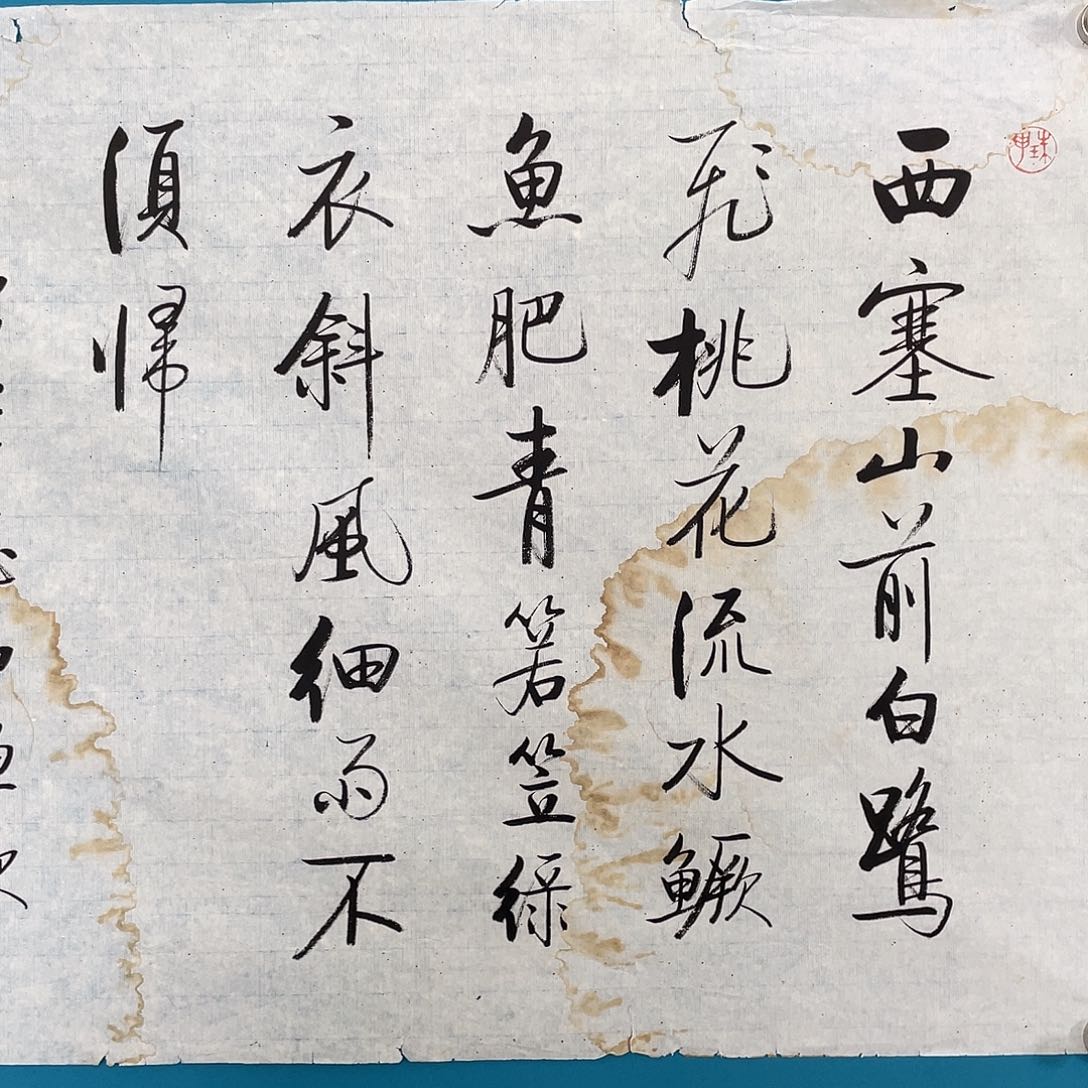 华拍商品专属链接1