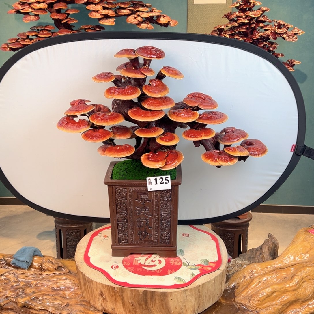 无花朵86888888999