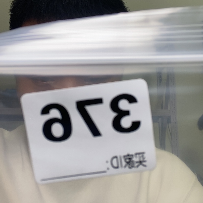 【闪购商品】大果紫檀（缅甸花梨）376大