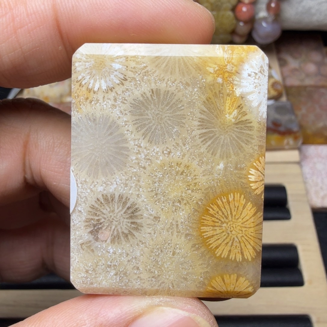 硅化玉未镶嵌纯天然色有机玉石保真色