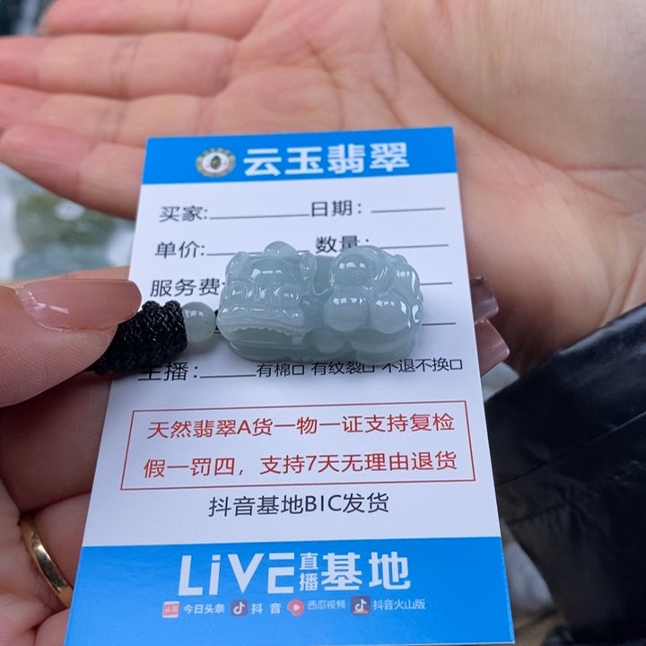 翡翠未镶嵌颈饰多人貔貅