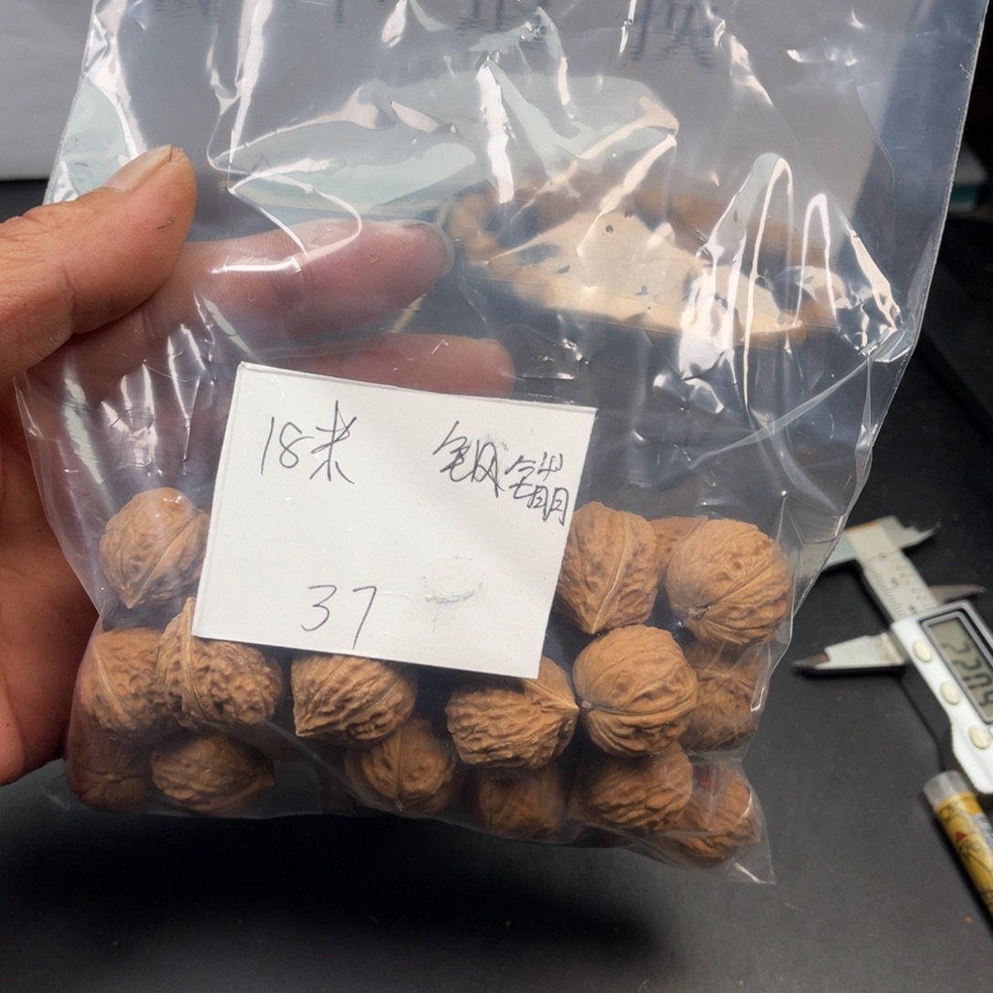 钢***镚野生小核桃37颗18