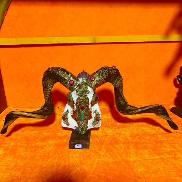 藏式包铜羊头骨工艺品 手工镶铜羊头标本 壁挂装饰 摆件店面装饰