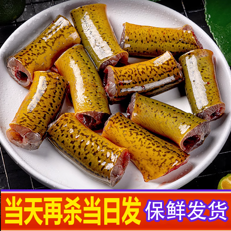 土鳝鱼土黄鳝鲜活现杀现发新鲜发货鳝鱼段口感鲜嫩正宗土鳝鱼