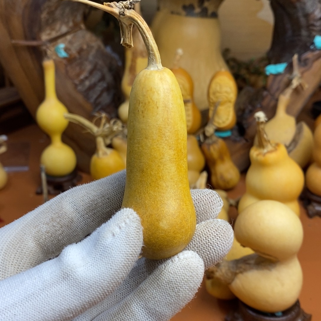 大***业教练咯教练咯教练咯