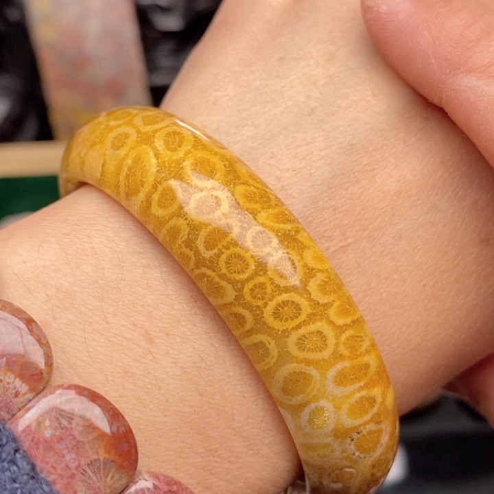 硅化珊瑚（珊瑚玉）手镯未镶嵌57