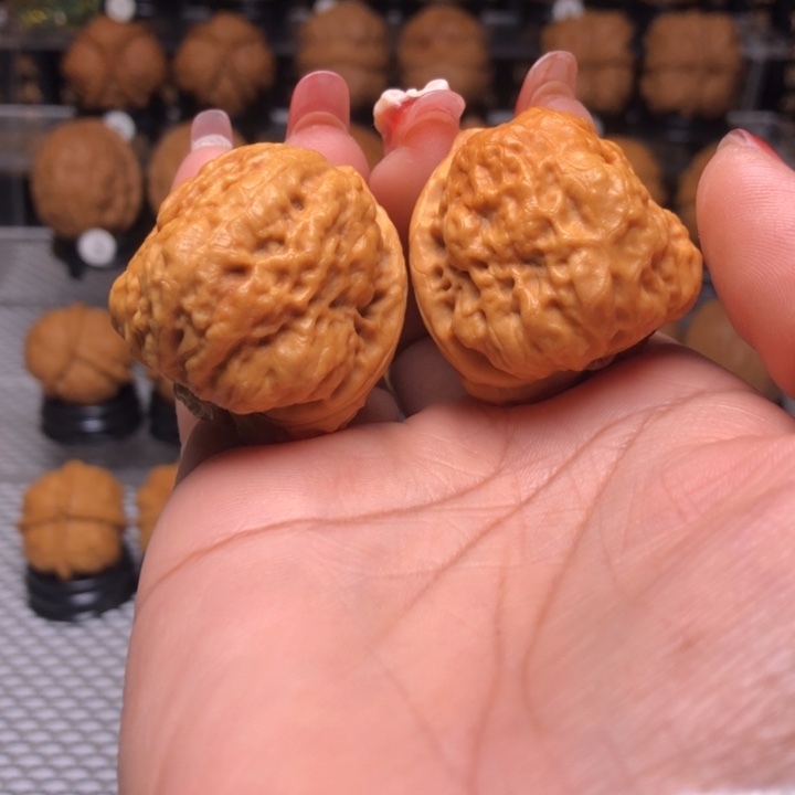 橄榄核吊坠10卧莲金蟾