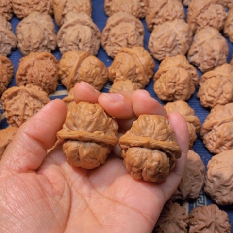 【闪购商品】吊坠文玩核桃中****九蛙蛙36