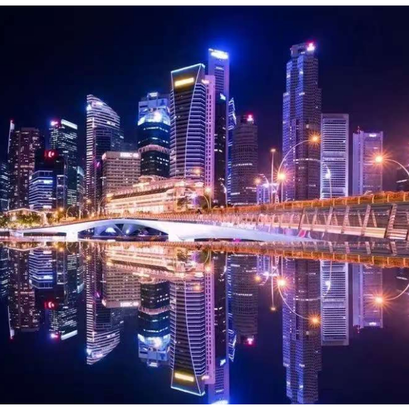 【新哥限量】高奢女士包包6698