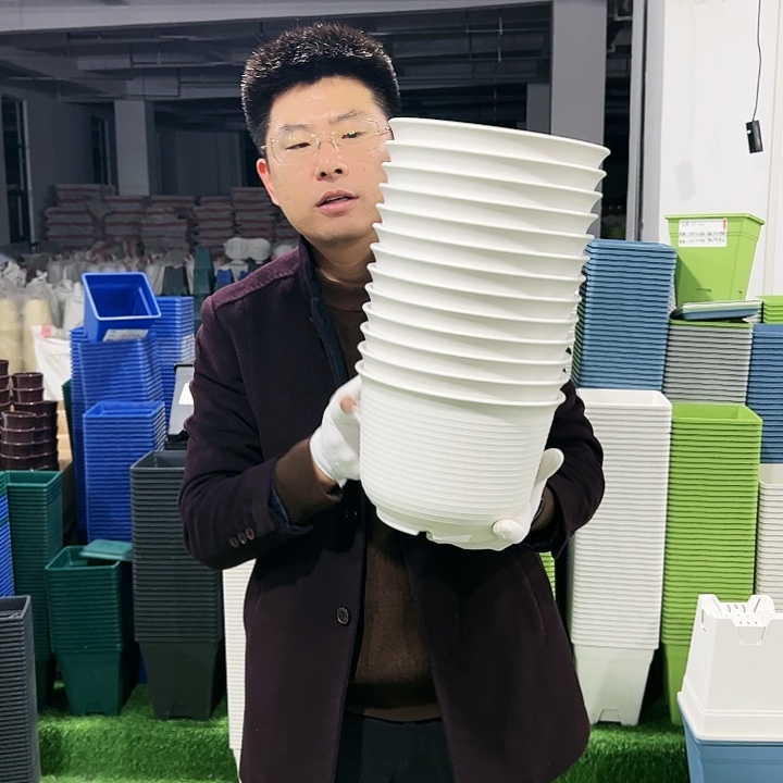 正品矮陶口21高15白色8只无托