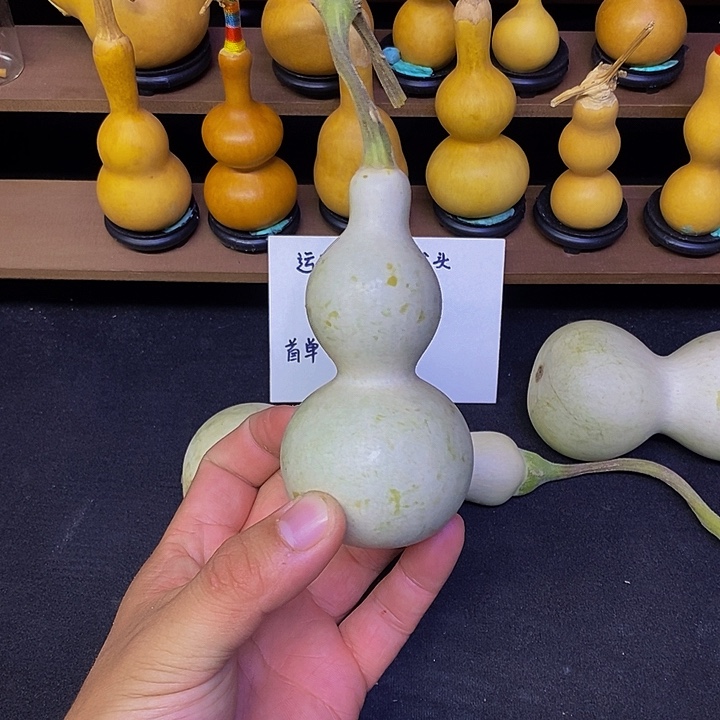 1*哈哈哈哈哈哈哈哈哈哈