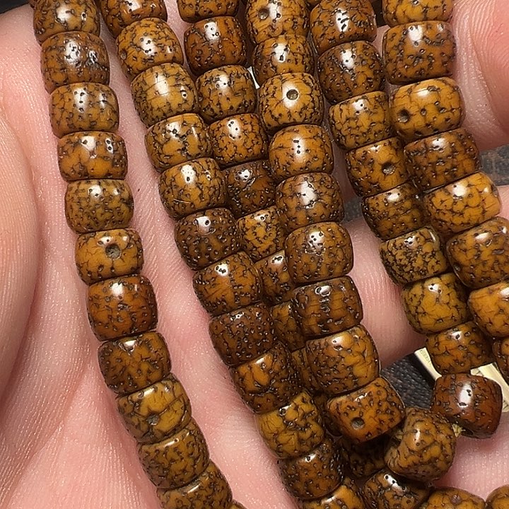 我们都是在这里看到的哈