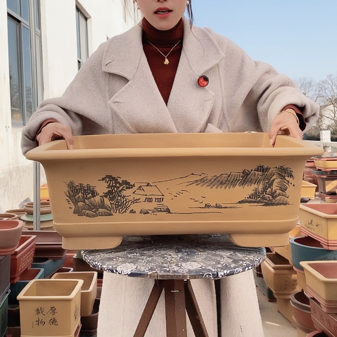 紫砂花盆紫砂花盆