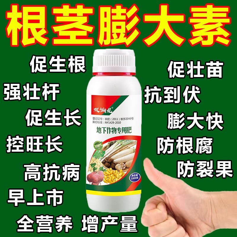 地下猛长地下根茎膨大素土豆莲藕生姜蒜芋头红薯荸荠萝卜等地下茎