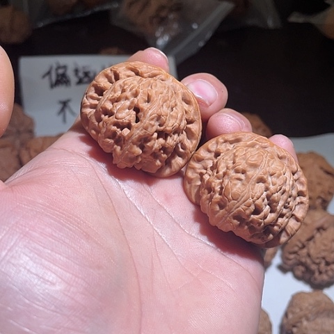 核桃白狮子文玩核桃