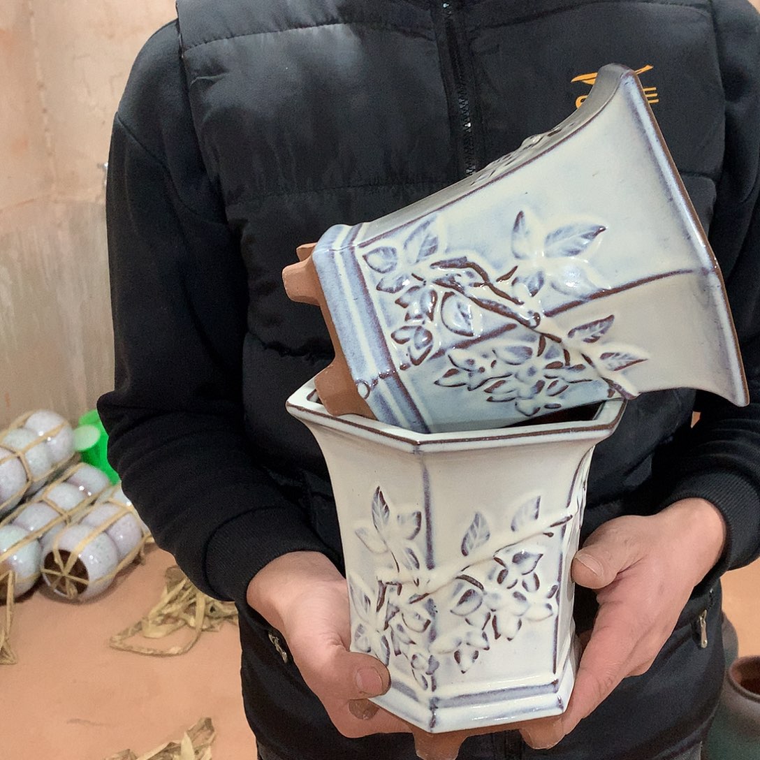 花盆啦啦啦啦啦啦啦啦啦