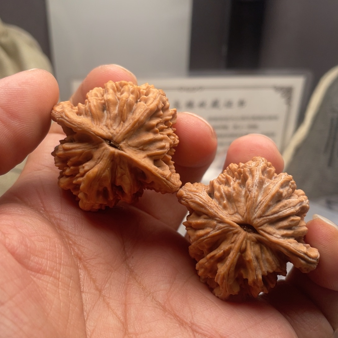 文玩核桃把件汉高虎40尺