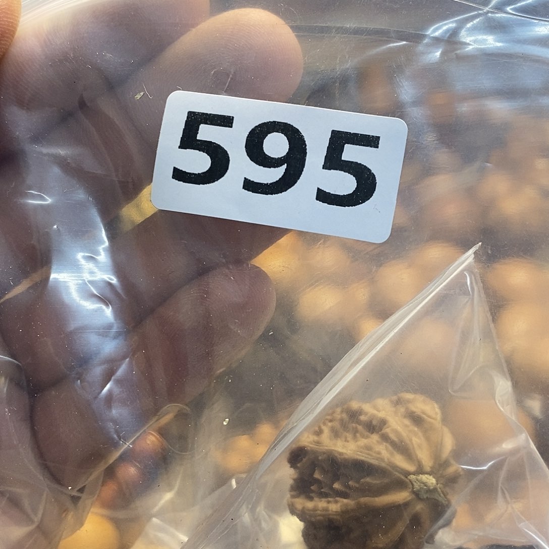 吊坠橄榄核?****?