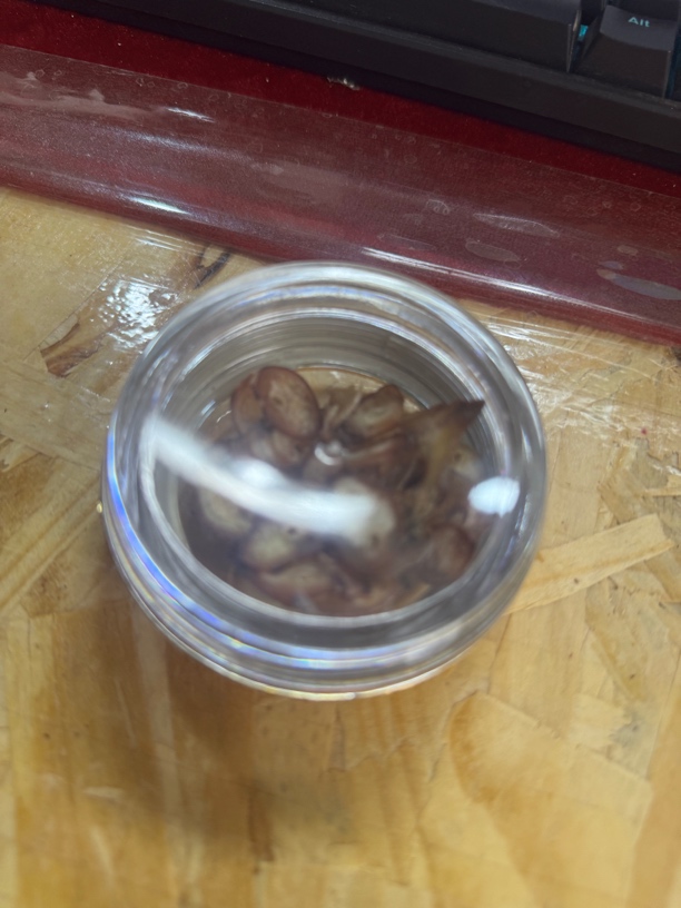 888特色工艺 高级花梨木