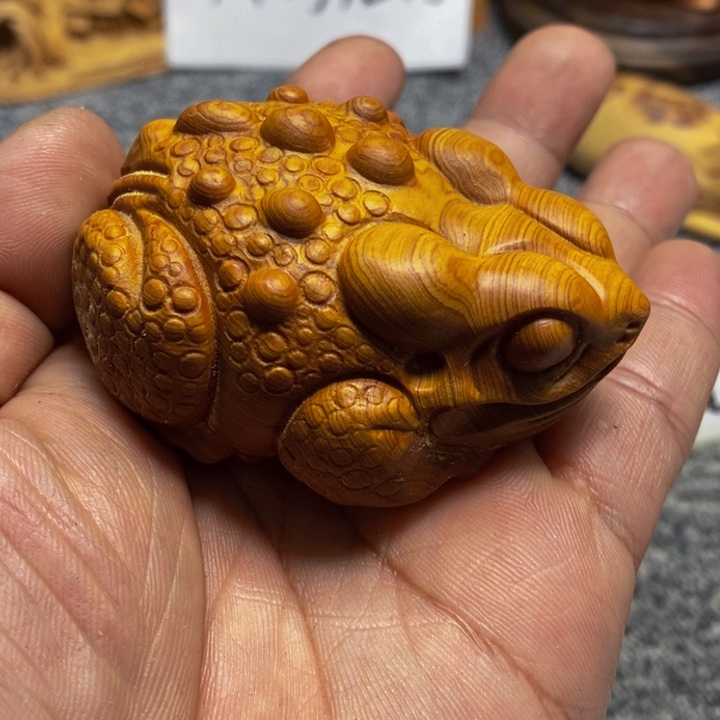 柏木（崖柏）崖柏310