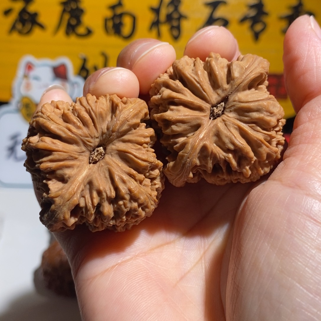 真***阳大叶紫檀（黑酸枝木类）