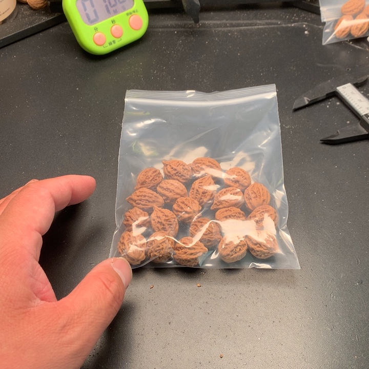 文玩核桃吊坠前*野生精品小核桃散籽
