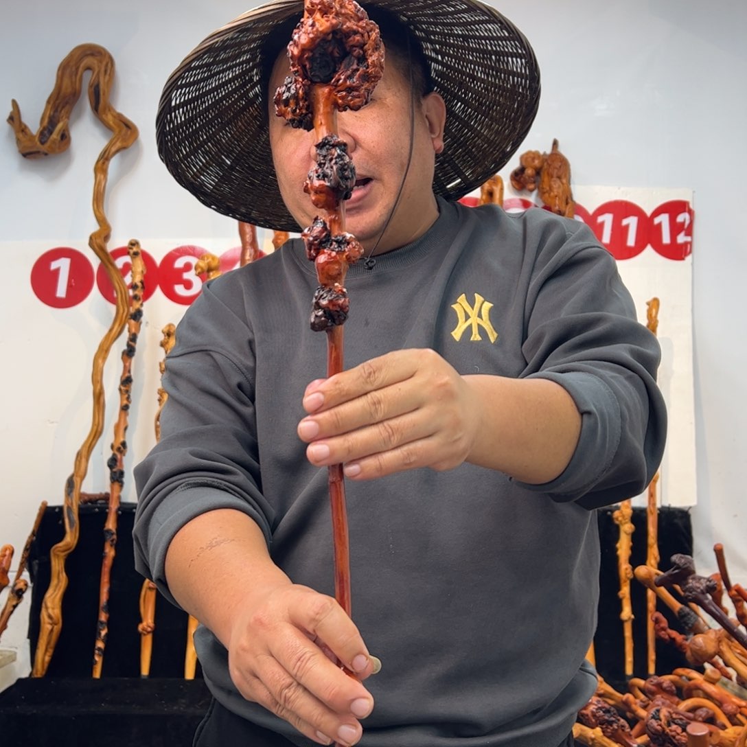 其他黑果木黑果木577