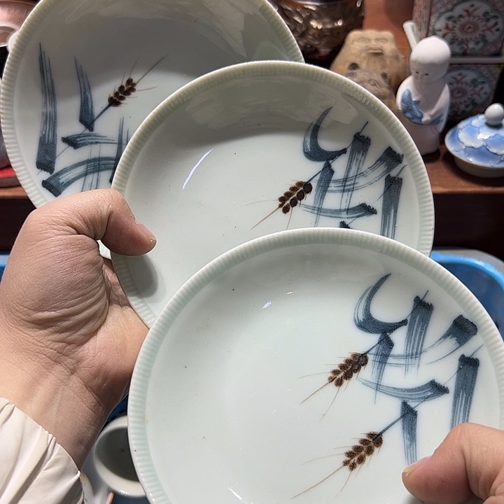 瓷片8888888888888888